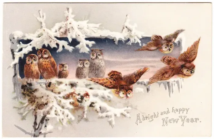 Framed Print : Eight owls on a New Year card Framed Print : Eight owls on a New Year card