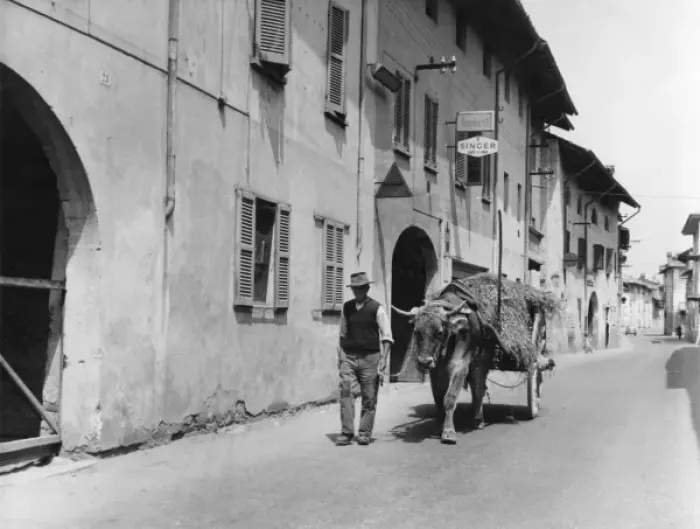 Framed Print : Ox-Drawn Cart in Street Framed Print : Ox-Drawn Cart in Street