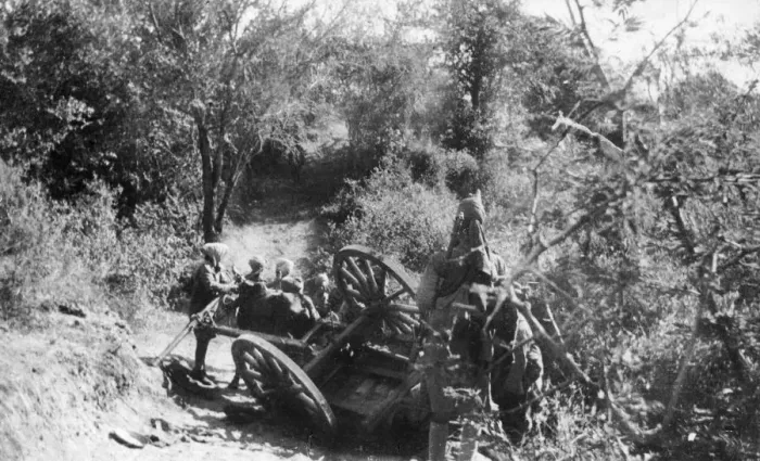 Framed Print : Ox transport on bank of Lumi River, East Africa, WW1 Framed Print : Ox transport on bank of Lumi River, East Africa, WW1