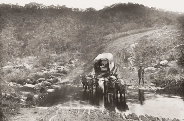 Framed Print : Ox wagon train crossing a drift, Umzinto, Natal, South Africa