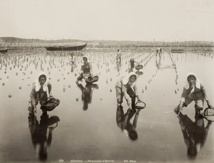 Framed Print : The oyster beds, Arcachon, France, image c. 1890 Framed Print : The oyster beds, Arcachon, France, image c. 1890