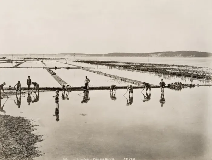Framed Print : Oyster beds and fishermen, Arcachon, France Framed Print : Oyster beds and fishermen, Arcachon, France
