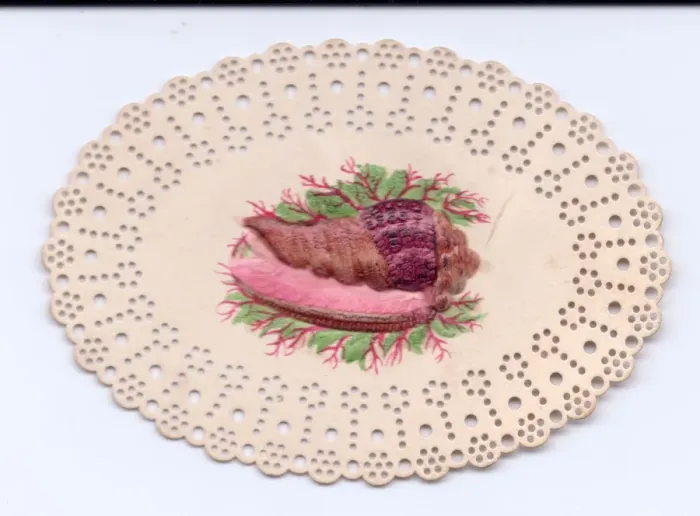 Framed Print : Oyster on a plate on a cutout greetings card Framed Print : Oyster on a plate on a cutout greetings card