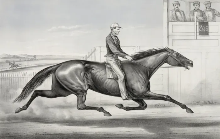 Framed Print : Pacing horse Billy Boyce of St. Louis: as he appeared at Buf Framed Print : Pacing horse Billy Boyce of St. Louis: as he appeared at Buf