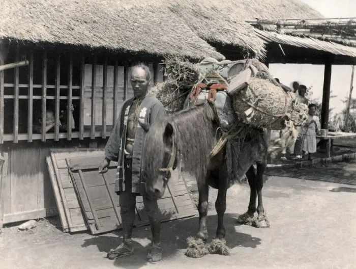 Framed Print : Pack horse with grass shoes, Japan, c. 1880 s Framed Print : Pack horse with grass shoes, Japan, c. 1880 s