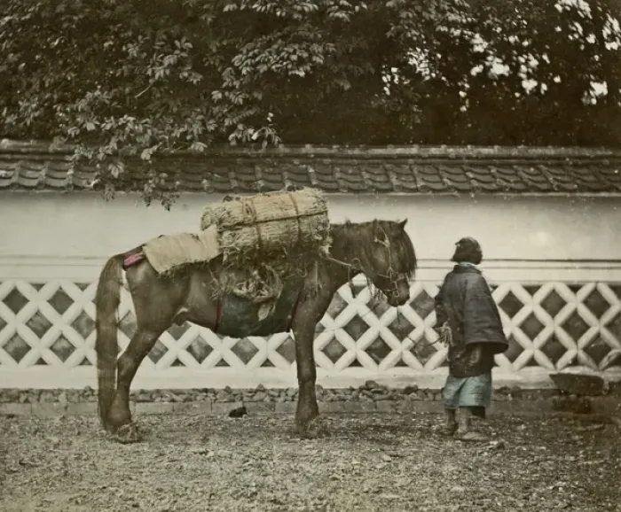 Framed Print : Pack horse, Japan Framed Print : Pack horse, Japan