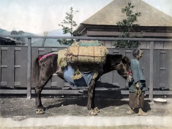 Framed Print : Pack horse, Japan, circa 1880s. Date: circa 1880s Framed Print : Pack horse, Japan, circa 1880s. Date: circa 1880s