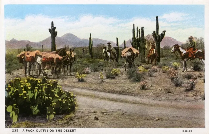 Framed Print : A Pack Outfit in the desert - Arizona, USA Framed Print : A Pack Outfit in the desert - Arizona, USA