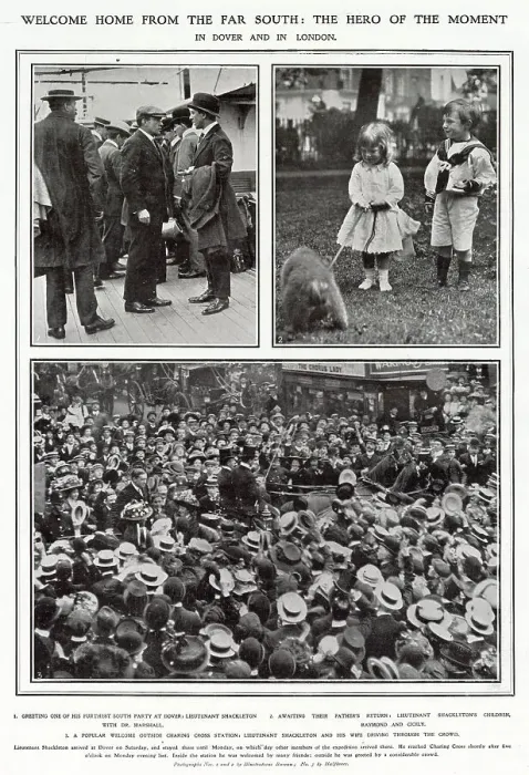 Framed Print : Page from The Illustrated London News reporting on the return of Ernest Shackleton's Antarctica expedition to the UK. Date: 1909 Framed Print : Page from The Illustrated London News reporting on the return of Ernest Shackleton's Antarctica expedition to the UK. Date: 1909