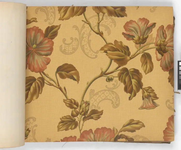 Framed Print : Page from New Artistic Wall Papers Framed Print : Page from New Artistic Wall Papers