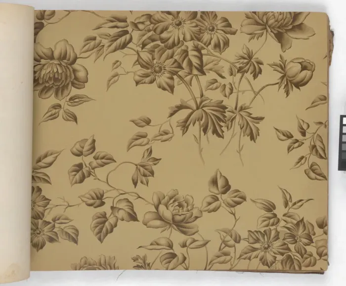 Framed Print : Page from New Artistic Wall Papers Framed Print : Page from New Artistic Wall Papers