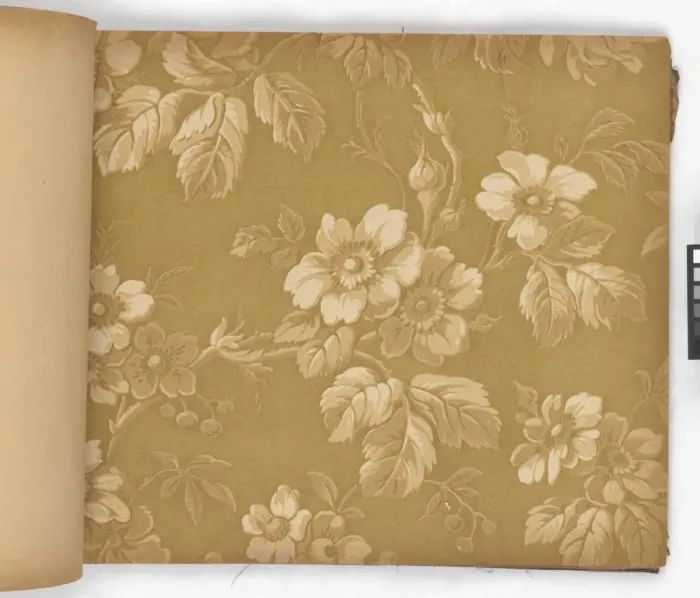 Framed Print : Page from New Artistic Wall Papers Framed Print : Page from New Artistic Wall Papers