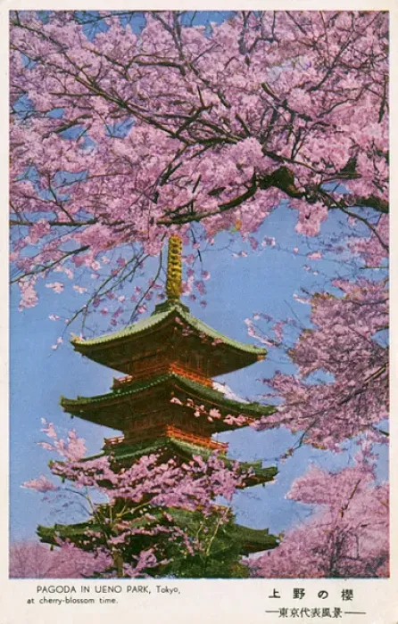 Framed Print : Pagoda in Ueno Park - Tokyo, Japan Framed Print : Pagoda in Ueno Park - Tokyo, Japan