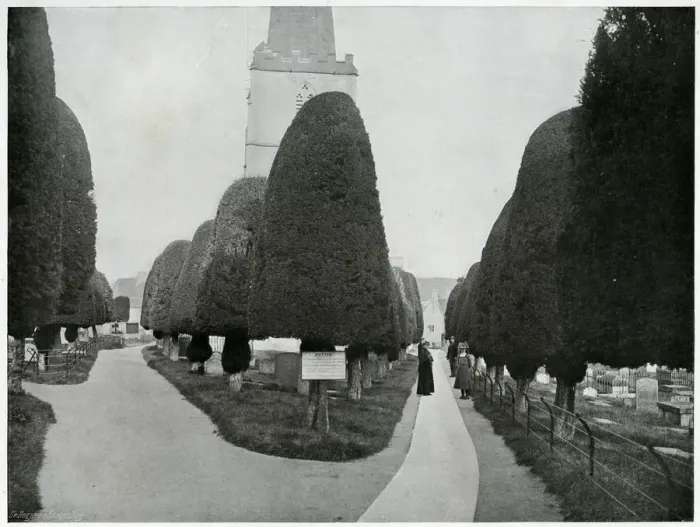 Framed Print : Painswick Clipping 1902 Framed Print : Painswick Clipping 1902
