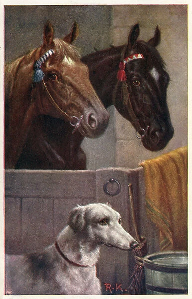 Pair of horses in a stable and a lurcher