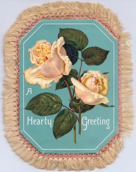 Framed Print : Pale orange roses on a fabric greetings card Framed Print : Pale orange roses on a fabric greetings card