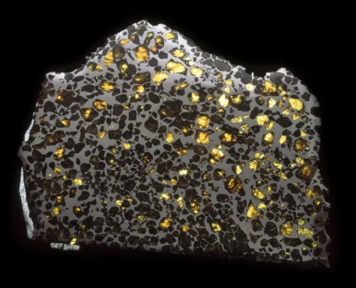 Framed Print : Pallasite slab Framed Print : Pallasite slab