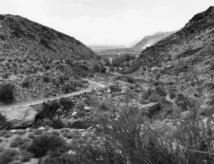 Framed Print : Palm Canyon Framed Print : Palm Canyon