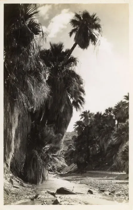 Framed Print : Palm Canyon, Riverside County, California, USA Framed Print : Palm Canyon, Riverside County, California, USA