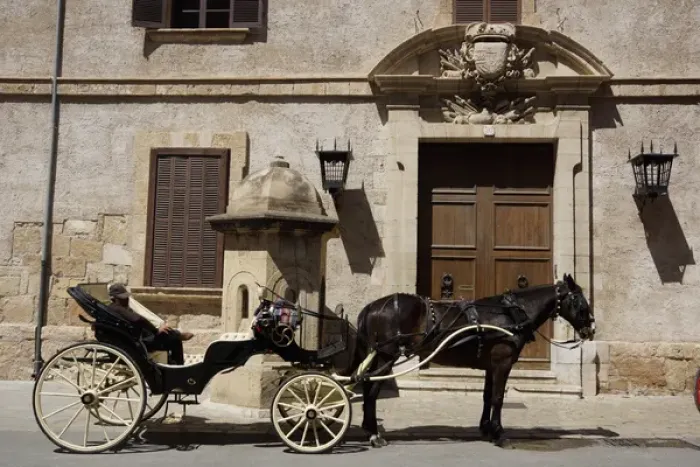 Framed Print : Palma, Mallorca - Horse Carriage at Almudiana Palace Framed Print : Palma, Mallorca - Horse Carriage at Almudiana Palace