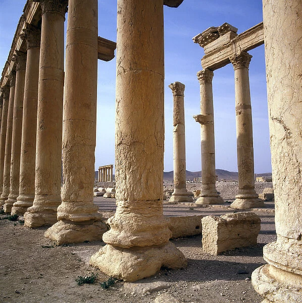 Palmyra, Syria - The Colonnade (close-up)