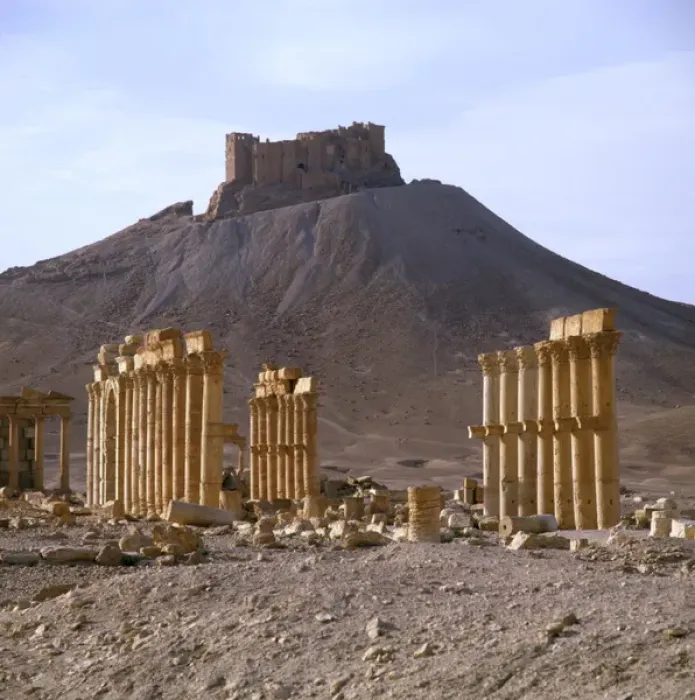 Framed Print : Palmyra, Syria - The Colonnade with view of Arab Castle Framed Print : Palmyra, Syria - The Colonnade with view of Arab Castle