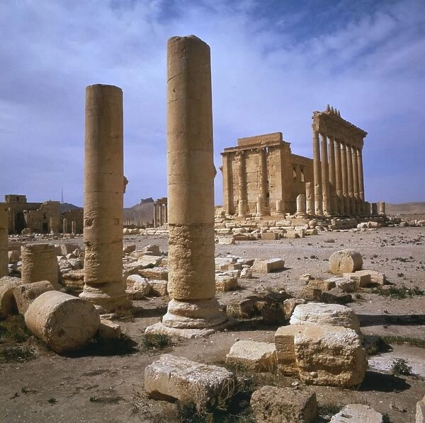 Palmyra, Syria - Columns and Temple of Bel (Baal)