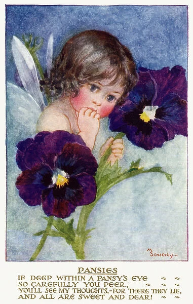 Pansies. Pub: Humphrey Milford, Postcards for the Little Ones