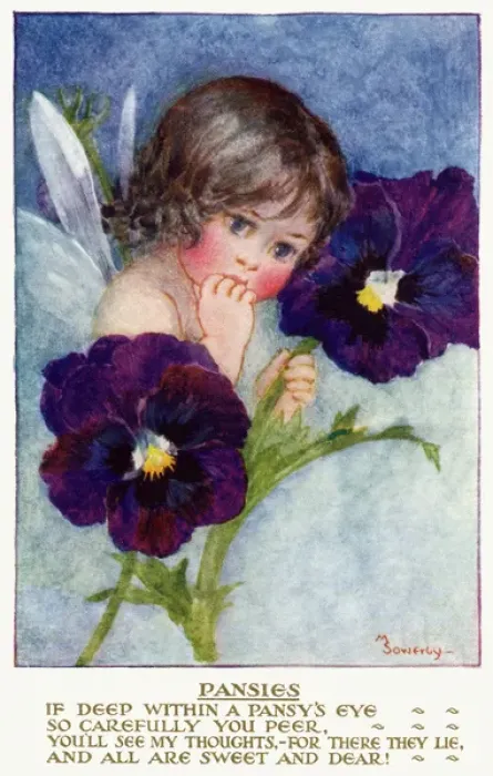 Framed Print : Pansies. Pub: Humphrey Milford, Postcards for the Little Ones Framed Print : Pansies. Pub: Humphrey Milford, Postcards for the Little Ones