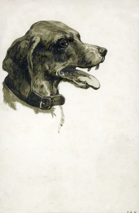 Framed Print : A panting dog of indeterminate breed, mouth open to reveal some pretty impressive Framed Print : A panting dog of indeterminate breed, mouth open to reveal some pretty impressive