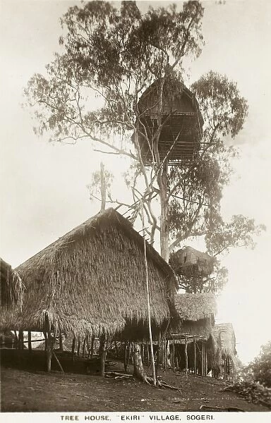 Papua New Guinea - Ekiti Village, Sogeri - Tree House
