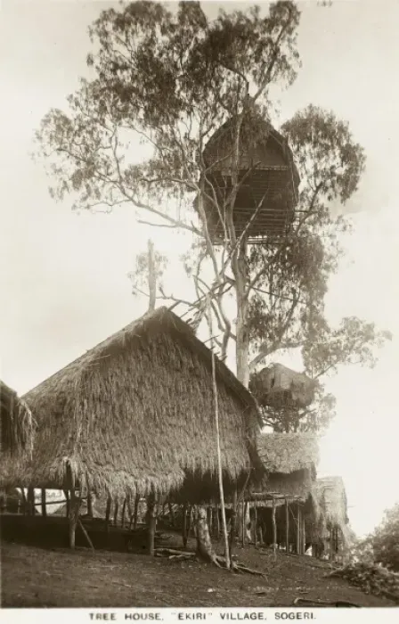 Framed Print : Papua New Guinea - Ekiti Village, Sogeri - Tree House Framed Print : Papua New Guinea - Ekiti Village, Sogeri - Tree House