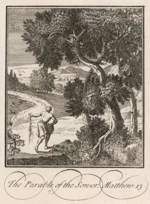 Framed Print : Parable of the Sower Framed Print : Parable of the Sower