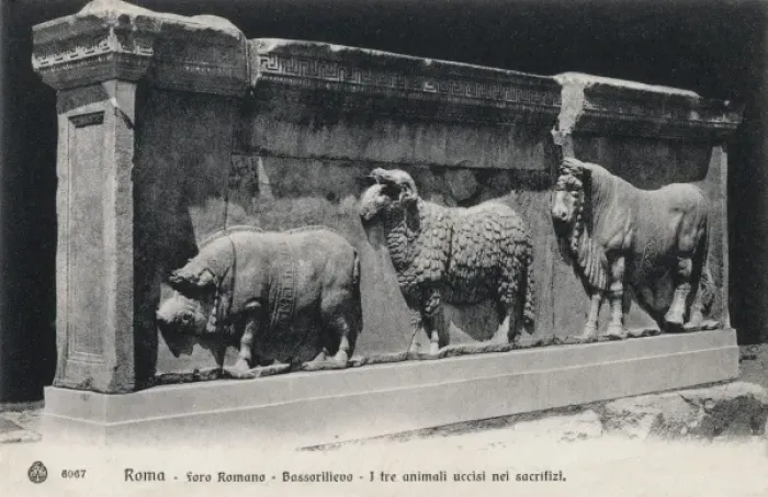 Framed Print : Parade of sacrificial animals Framed Print : Parade of sacrificial animals