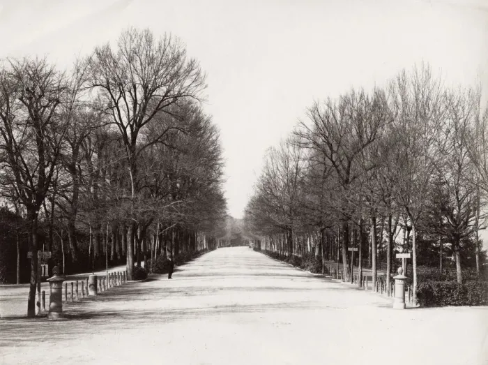 Framed Print : The Parco delle Cascine, Florence, Italy Framed Print : The Parco delle Cascine, Florence, Italy