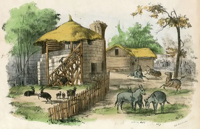 Framed Print : Paris Zoo - Mammals Framed Print : Paris Zoo - Mammals