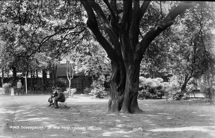 Framed Print : In the Park Framed Print : In the Park