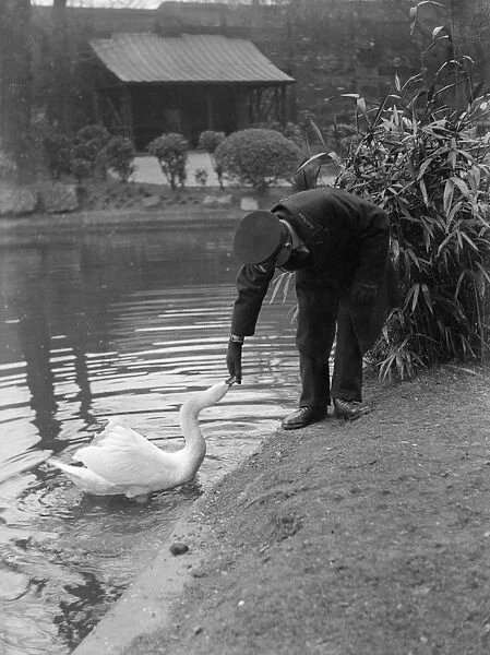 Park Keeper and Swan