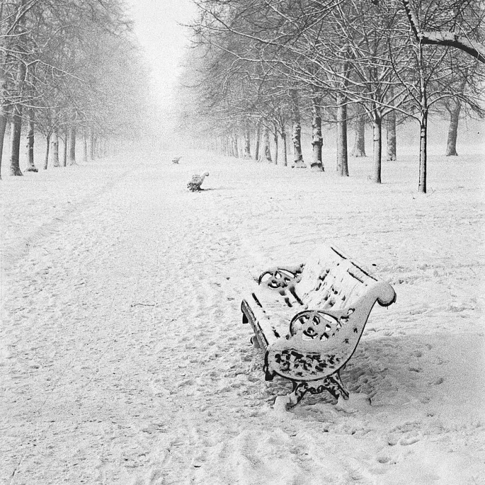 Framed Print : Park in the snow Framed Print : Park in the snow