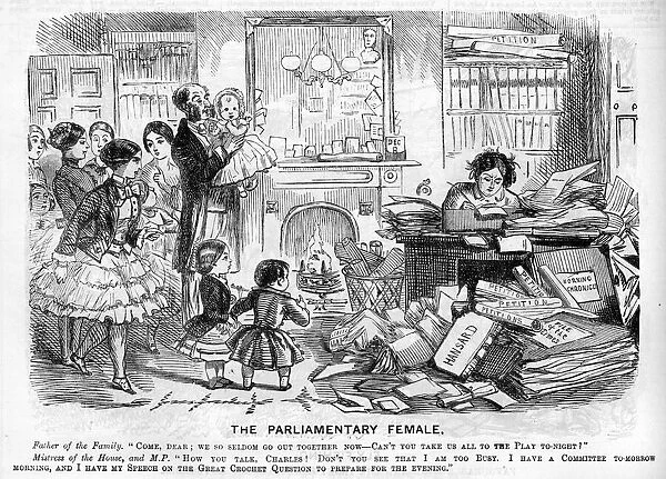 The parliamentary female