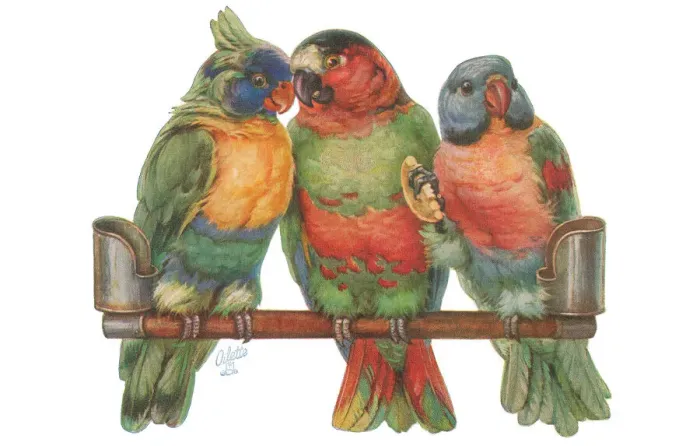 Framed Print : Parrots. Artist: May Bowley Date: circa 1920 Framed Print : Parrots. Artist: May Bowley Date: circa 1920