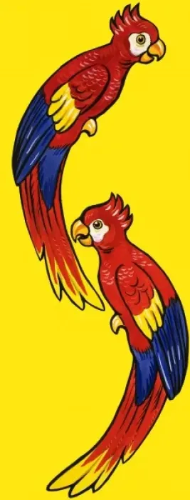 Framed Print : Parrots Framed Print : Parrots