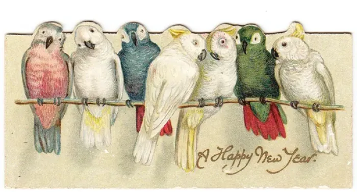 Framed Print : Parrots on a reversible Christmas and New Year card Framed Print : Parrots on a reversible Christmas and New Year card
