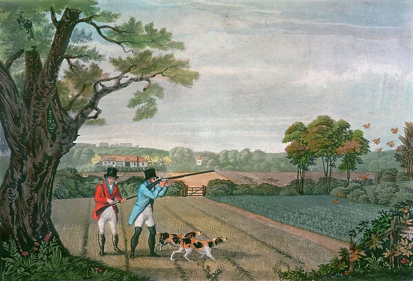 Partridge shoot 1830