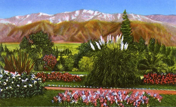 Pasadena, California, USA - Garden Scene in Winter