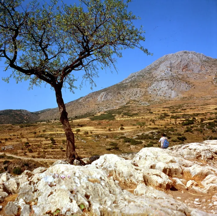 Framed Print : Pastoral scene in Greece Framed Print : Pastoral scene in Greece