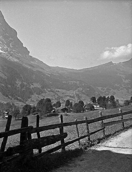 Pastoral scene, Grindelwald, Switzerland