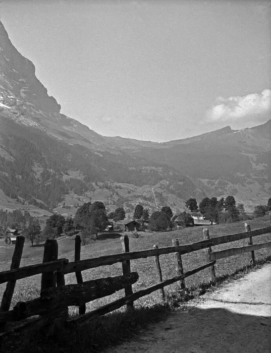 Framed Print : Pastoral scene, Grindelwald, Switzerland Framed Print : Pastoral scene, Grindelwald, Switzerland