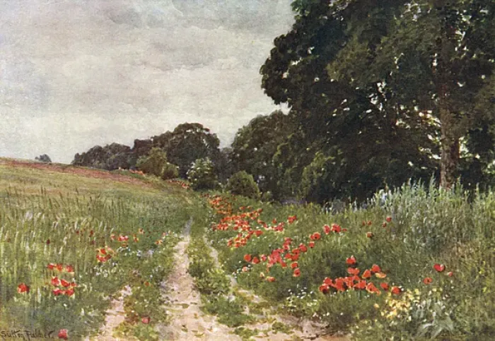 Framed Print : Path in Poppy Field Framed Print : Path in Poppy Field