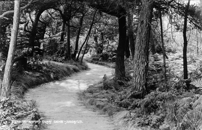Framed Print : Pathway Through Canford Cliffs Chine Framed Print : Pathway Through Canford Cliffs Chine